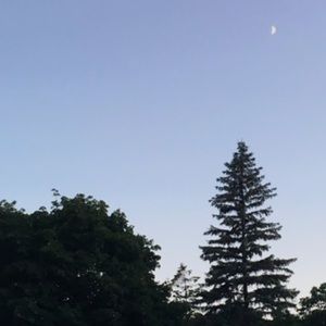 Meet your Posher, Janny